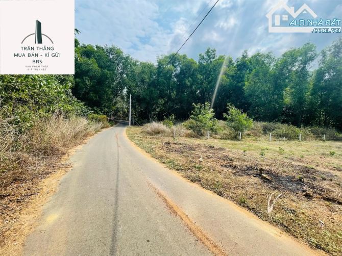 Đất 2 mặt tiền có thổ cư view suối xã Suối Rao - Châu Đức - BRVT