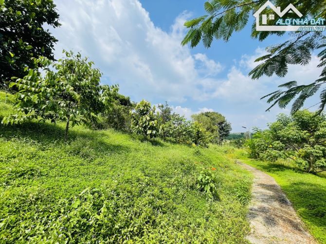 Chủ Gửi Bán Lô Đất View Đồi có sẵn vườn Trái Cây, Hồ Cá,Đường nhựa nhà nước