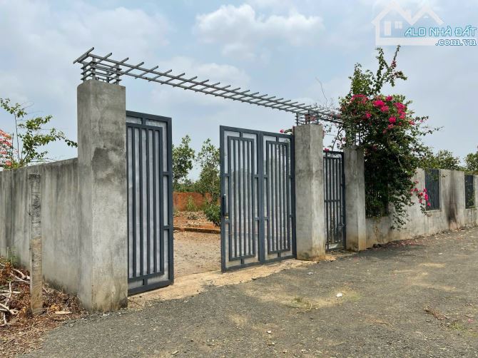 BÁN NHÀ VƯỜN VIEW RUỘNG XÃ HOÀ KHÁNH TP BMT