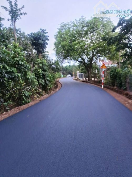 13000m2 mặt tiền đường nhựa khu dân cư đất full hồng giá rẻ tphcm