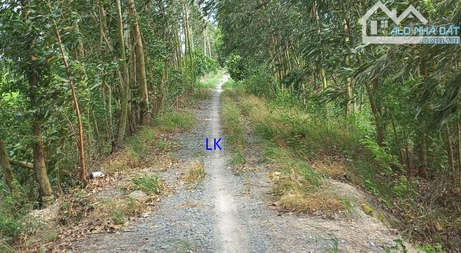 🔰 Bán đất lúa: 18.800m²(Mặt tiền 30m, nở hậu) 🔰 Đường đá xe ba gác, xã Ba Sao