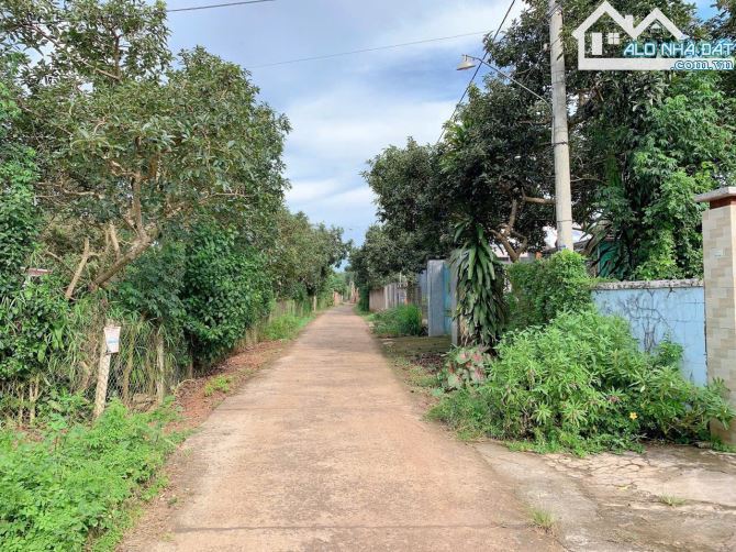 Bán khoảng 4 sào 6 (4647m2) đất Xà Bang, huyện Châu Đức, BRVT.