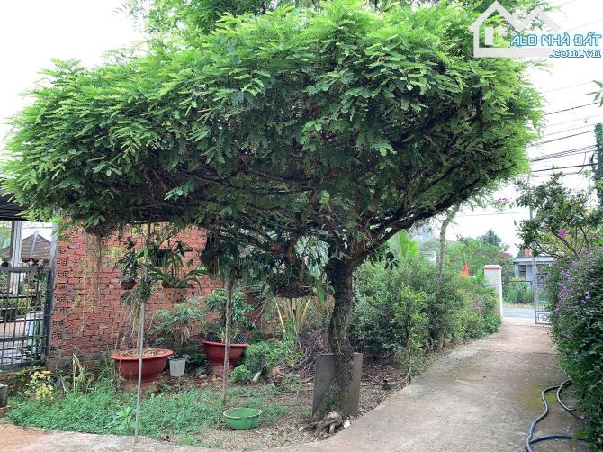 Bán khoảng 5 sào 7 (5741m2) đất Xà Bang, huyện Châu Đức, BRVT.