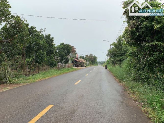 Bán khoảng 4 sào 4 (4439m2) đất Xà Bang, huyện Châu Đức, BRVT.