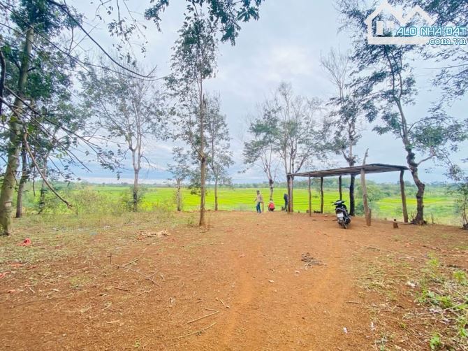 BÁN LÔ ĐẤT 20 SÀO TẠI XÃ XUÂN SƠN (20.000m²) – Đất bằng phẳng