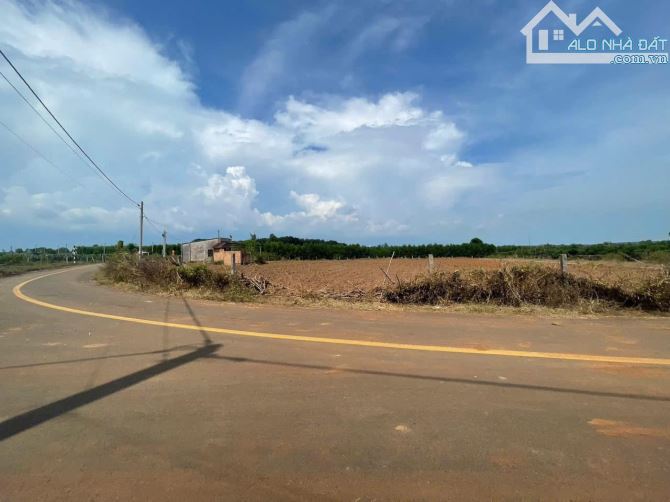 [Bán Đất – Xuyên Mộc] 4389m2 trung tâm TT Phước Bửu giá tốt