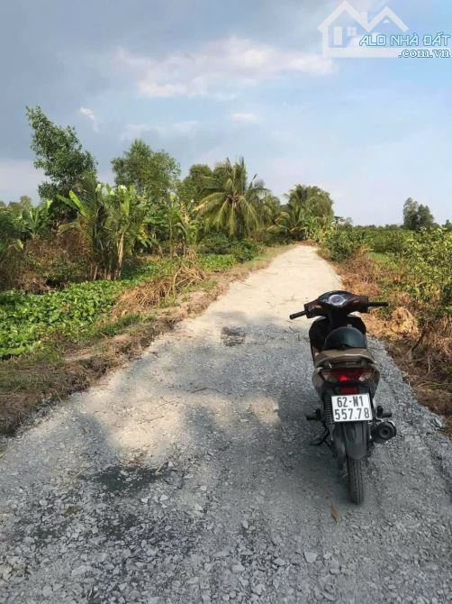 500m2 vườn lương hoà Bến Lức 715 triệu giá rẻ đường ôtô