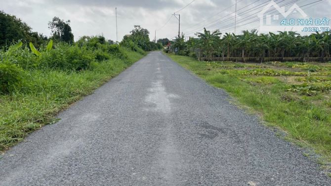 B.á.n 2 công đất vườn mặt tiền nhựa TL871C, gần biển Rạch Bùn, Tân Điền, GCĐ, TG