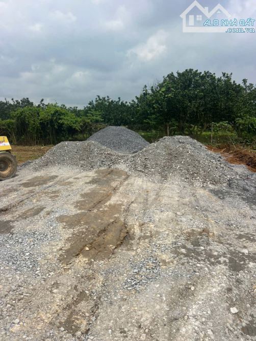 BÁN ĐẤT NỀN VEN SÔNG SHR TRUNG TÂM PHƯỜNG TÂN TRIỀU MỚI