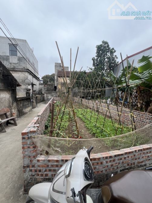 Bán Gấp đất đông mỹ 50m2, 3,7ty mt 3,8m , lô góc , sổ đỏ, ko quy hoăch