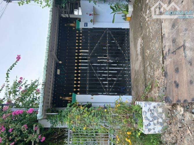 Bán Nhà Trệt Mặt Tiền Nhựa Huyện 92A , Ngây Đèn Canh Đỏ Ngã Hóc Đùm QL50, Phường Đạo Thạnh