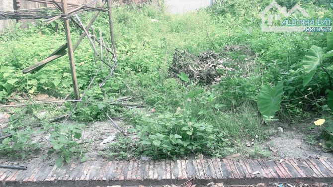 🔥 ĐẤT ĐẸP – VIÊN NỘI, VÂN NỘI – GIÁ 4,2 TỶ 🔥  📍 Vị trí: Sát bìa làng Đình Thôn