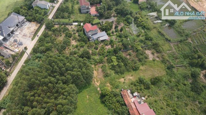 Siêu phẩm! 1600m Tân Yên Bắc Giang, Chia 4 lô to, đường ô tô vào đất, 360 thổ cư, 2.x tỷ