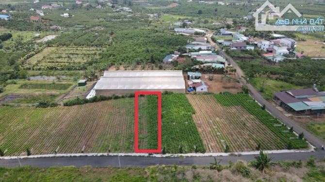 BÁN ĐẤT NGỘP GẦN CHỢ, GẦN UỶ BAN 500M2 CHỈ HƠN 1 TỶ BÁN TRONG THÁNG