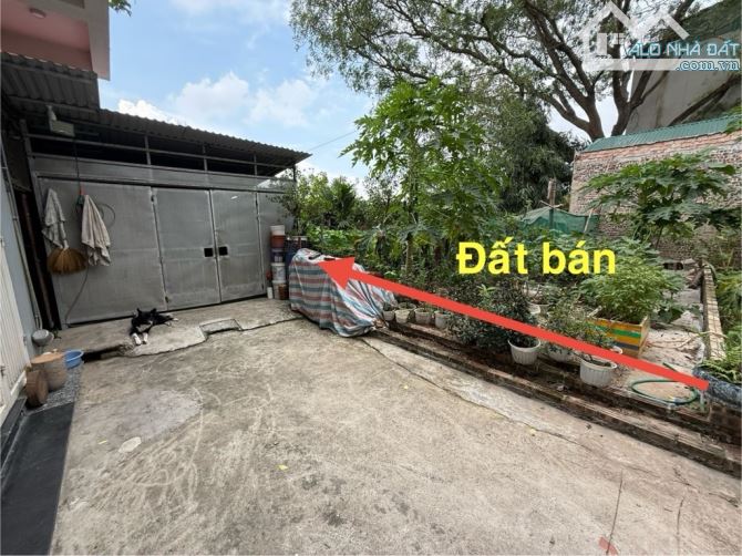 BÁN ĐẤT_TT TRÂU QUỲ, GIA LÂM – PHÂN LÔ –40m2, 3,8 TỶ