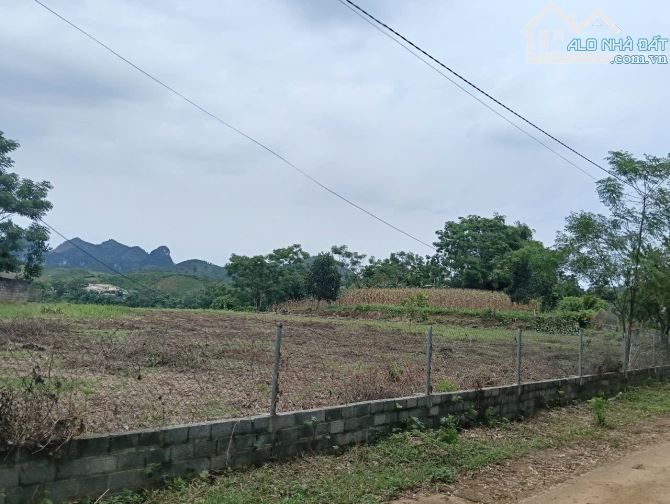 Bán đất Kim Bôi Hoà Bình đất thoáng bám đường rộng 2568m2