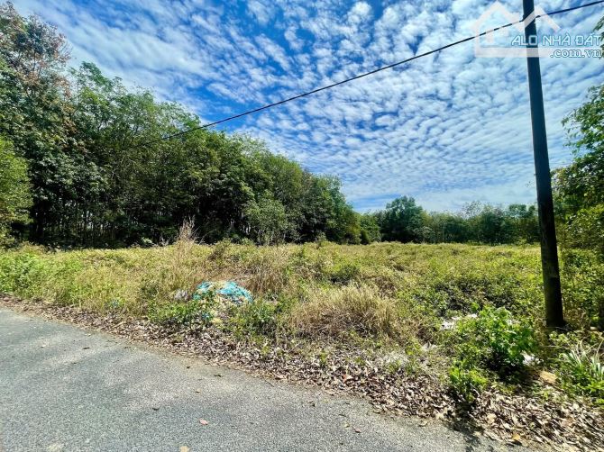 Bán đất mặt tiền nhựa thông đường TL7 xã An Nhơn Tây Củ Chi TPHCM, DT: 4600m2.