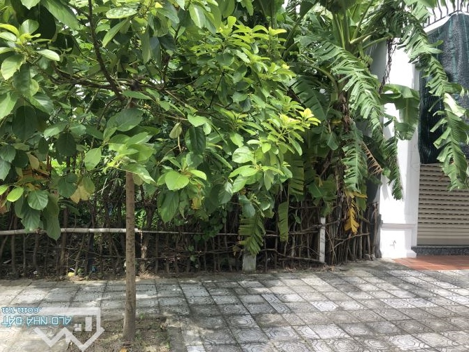 bán ĐẤT rẻ hơn giá thị trường 150tr. Khu đô thi Tây Quốc Lộ 10, TT Đông Hưng 83,25m2 M