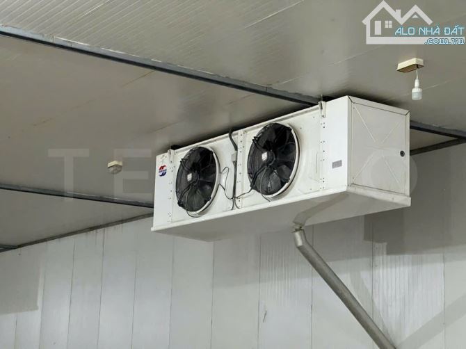 Cho Thuê KHO LẠNH CẦN THƠ - Cấp đông công suất 300 và 600 tấn, trong KCN Trà Nóc