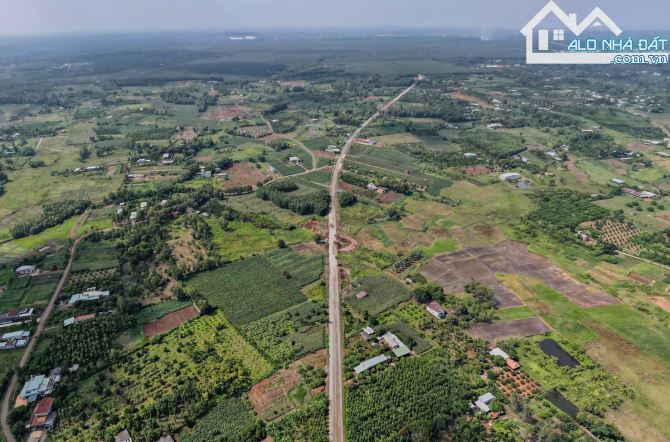 LÔ ĐẤT BIỆT THỰ VƯỜN TUYỆT ĐẸP MẶT TIỀN 56B SUỐI NGHỆ, THỔ CƯ, CÓ HỒ BƠI, VƯỜN CÂY ĂN TRÁI - 10