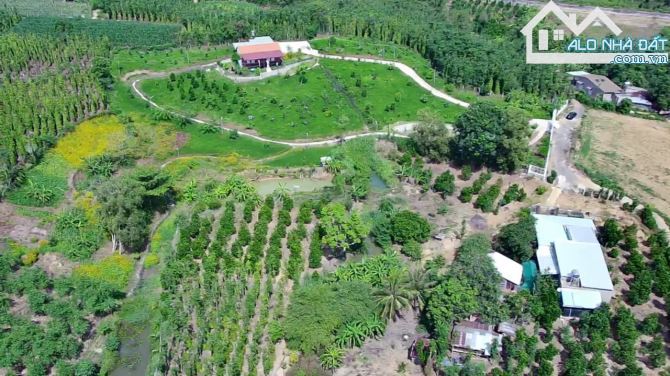Chủ Gửi Bán Lô Đất View Đồi có sẵn vườn Trái Cây, Hồ Cá,Đường nhựa nhà nước - 10