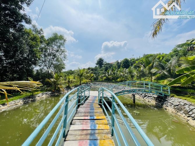 Chủ Gửi Bán Lô Đất View Đồi có sẵn vườn Trái Cây, Hồ Cá,Đường nhựa nhà nước - 11