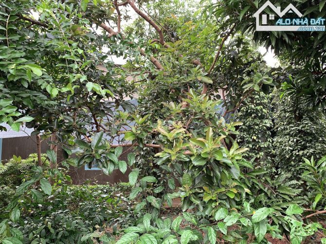 Bán khoảng 5 sào 7 (5741m2) đất Xà Bang, huyện Châu Đức, BRVT. - 11