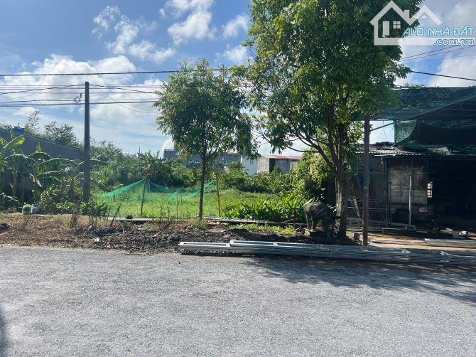Cần bán 1 số ô đất tại xã Vân Trường Tiền Hải, kinh doanh thuận tiện, sẵn sổ công chứng - 1