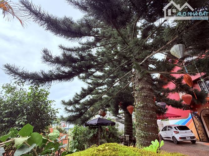 VILLA TRUNG TÂM ĐÀ LẠT TRẦN HƯNG ĐẠO TIỆN NGHỈ DƯỠNG - 1