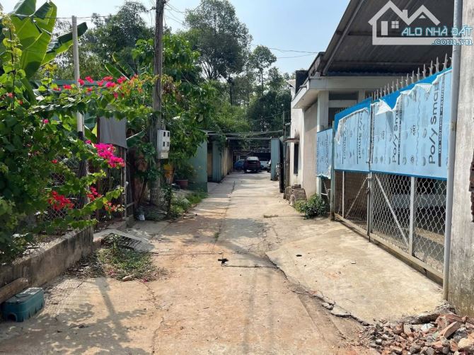 ĐẤT PHÚ CƯỜNG – GẦN PHỐ ĐI BỘ BẠCH ĐẰNG  1 TỶ 650 (còn thương lượng) - 1