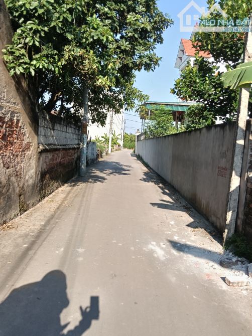 Siêu phẩm nhỏ xinh giá rẻ đường ô tô 👉 tự nhiên -thường tín - 1