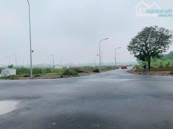 🔥 ĐẤU GIÁ LÊ XÁ, MAI LÂM, ĐÔNG ANH 80m2CẦU TỨ LIÊN - GẦN TT TRIỂN LÃM QUỐC GIA. - 1