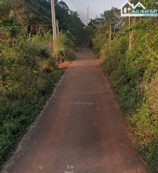 Bán lô đất 1,1ha phủ hồng mặt tiền nhựa xã Láng Lớn nay là xã Kim Long, tp Hồ Chí Minh - 1