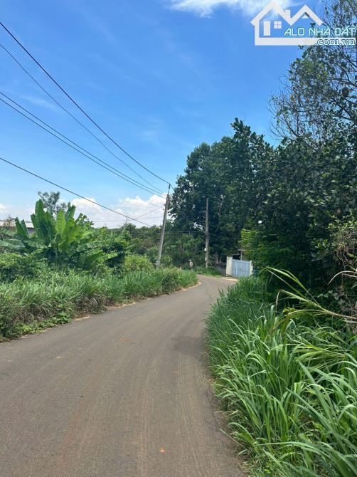 Bán vườn trái cây view suối liền kề cao tốc diện tích lớn: 25.433m2, sẵn 300m2 thổ cư - 1