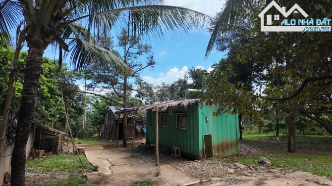 VƯỜN CÂY ĂN TRÁI VIEW SUỐI CỰC ĐẸP, SẴN THỔ CƯ, GẦN CAO TỐC, GIÁ BÁN NHANH SIÊU TỐT - 1