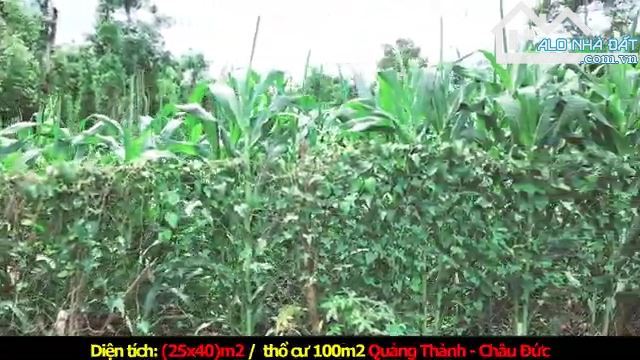 Bán lô siêu phẩm sang đẹp có thổ cư xã Quảng Thành huyện Châu Đức, Bà Rịa Vũng Tàu - 1