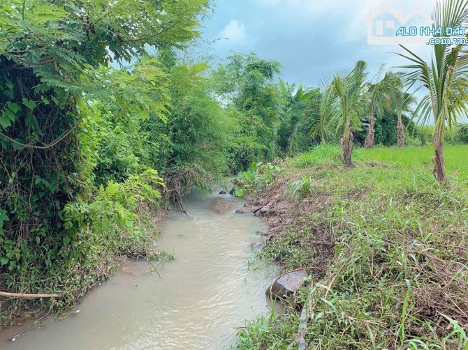 Bán khoảng 3 sào (3084m2) đất xã Suối Nghệ, huyện Châu Đức, BRVT. - 1