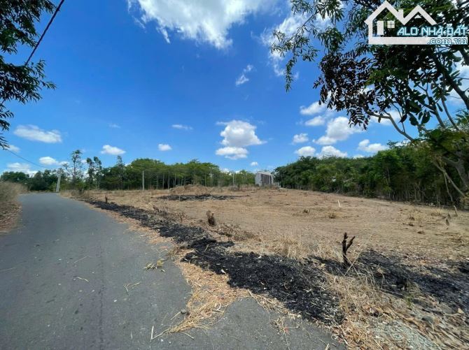 Bán Đất Châu Đức – BRVT,  544m2, hàng hiếm giá siêu hời - 1