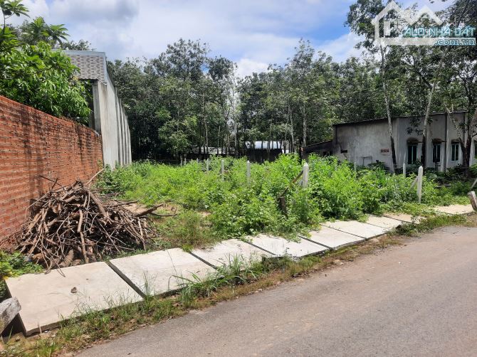 Đất nền thành phố Hồ Chí Minh giá rẻ vị trí đầu tư tiềm năng - 1