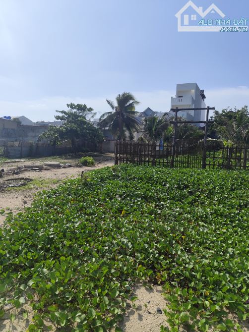Bán cắt lỗ 210m2 thổ cư Thanh Phong, Cửa Cạn, Tân Thuận - 1