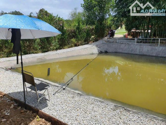 ✨🏡 Siêu phẩm đất + nhà 1.600m² giá rẻ  ngay trung tâm P.5, Đà Lạt 11tr/m2 - 1