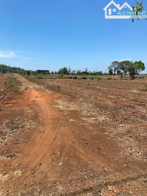 Cần bán 33.065m2 đất 2 mặt tiền hiếm hoi, sẵn 300m2 thổ cư, phủ hồng, giá đầu tư - 1