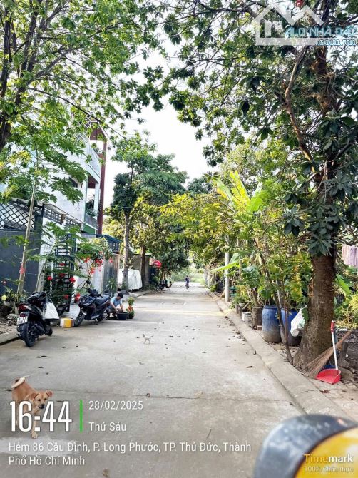 Đất 4,4m*21,5 đường Cầu Đình vuông vức cách ngã 3 Long Phước 200, , KDC đông đúc. - 1