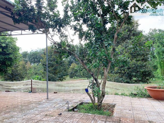 Bán khoảng 4 sào 6 (4647m2) đất Xà Bang, huyện Châu Đức, BRVT. - 1