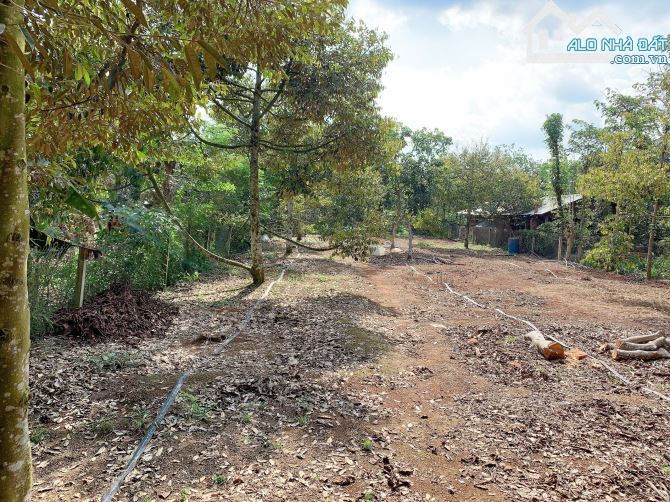 Bán khoảng 1 sào 7 (1695m2) đất Xà Bang, huyện Châu Đức, BRVT. - 1