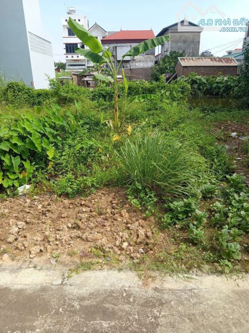 Bán đất thôn Ấp Tre (Tổ 9), Quang Minh, thành phố Hà Nội. Đường thông bàn cờ, oto đỗ - 1