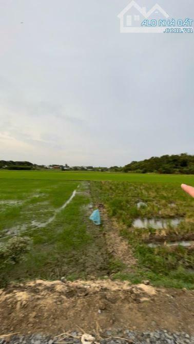 [Bán Đất – Xuyên Mộc] 3949m2 đường nhựa ven rạch tưới tiêu - 1