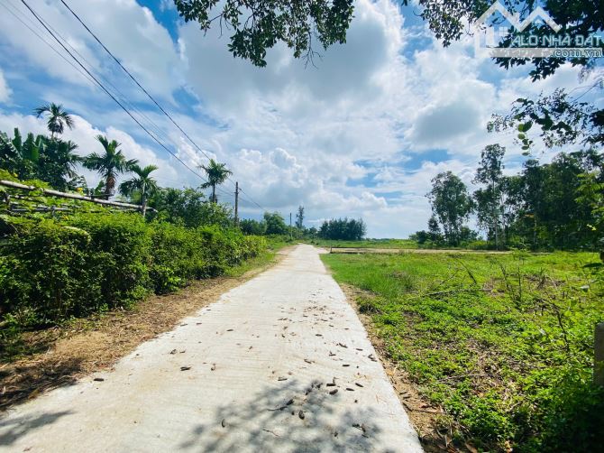 Đất ngay chợ Bàn Thạch- Cách Cẩm Kim Hội An chỉ 150m - 1