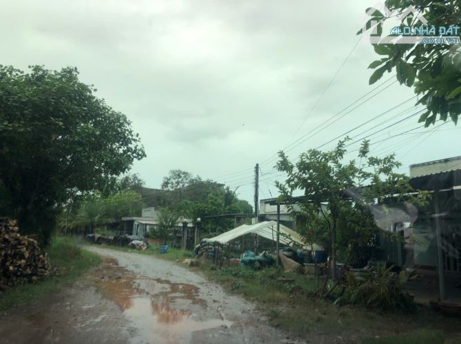 BÁN ĐẤT VƯỜN 1,4 HÉC-TA TẠI DẦU TIẾNG, BÌNH DƯƠNG - 25 TỶ - 1