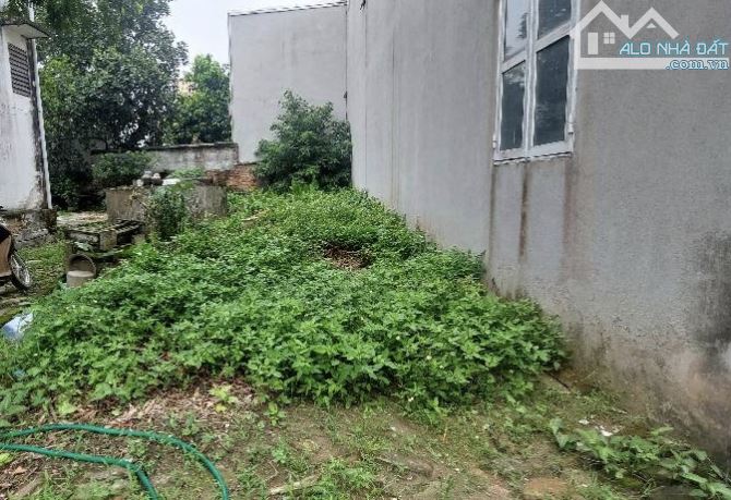 Bán đất Đông Mỹ, Thanh Trì 63m2, sổ hoa hậu, giá 4,05 tỷ - 1